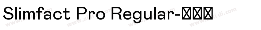 Slimfact Pro Regular字体转换